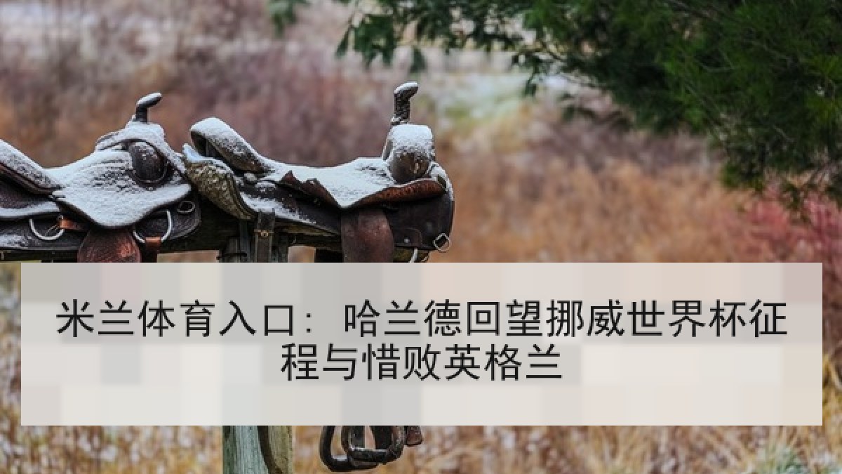 米兰体育入口: 哈兰德回望挪威世界杯征程与惜败英格兰