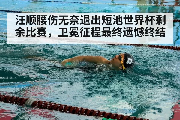 汪顺腰伤无奈退出短池世界杯剩余比赛，卫冕征程最终遗憾终结