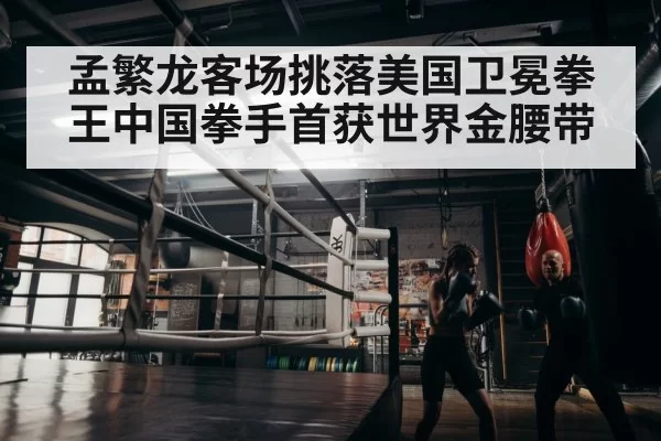 boxer training gym